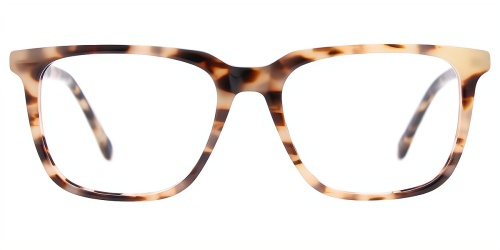 Horn Eyeglasses