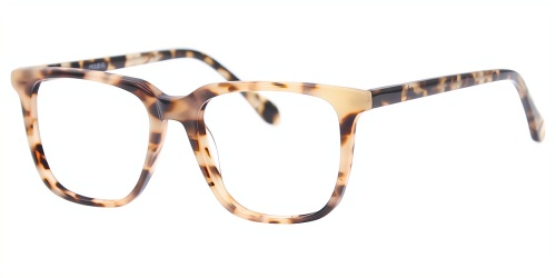 Horn Eyeglasses