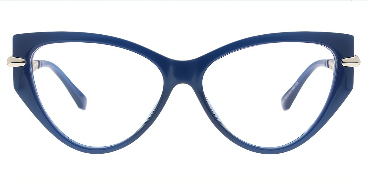 Blue Cat Eye Hipster Mixed Materials Eyeglasses