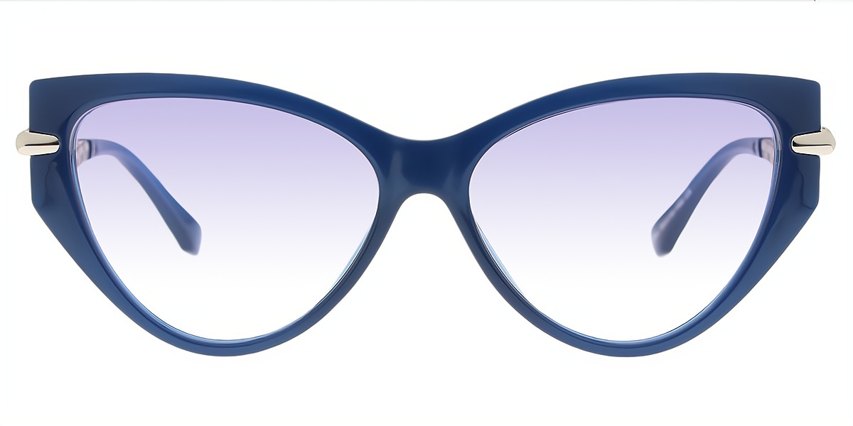 Blue Cat Eye Hipster Mixed Materials Eyeglasses