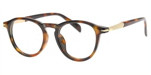 Oval Eyeglasses