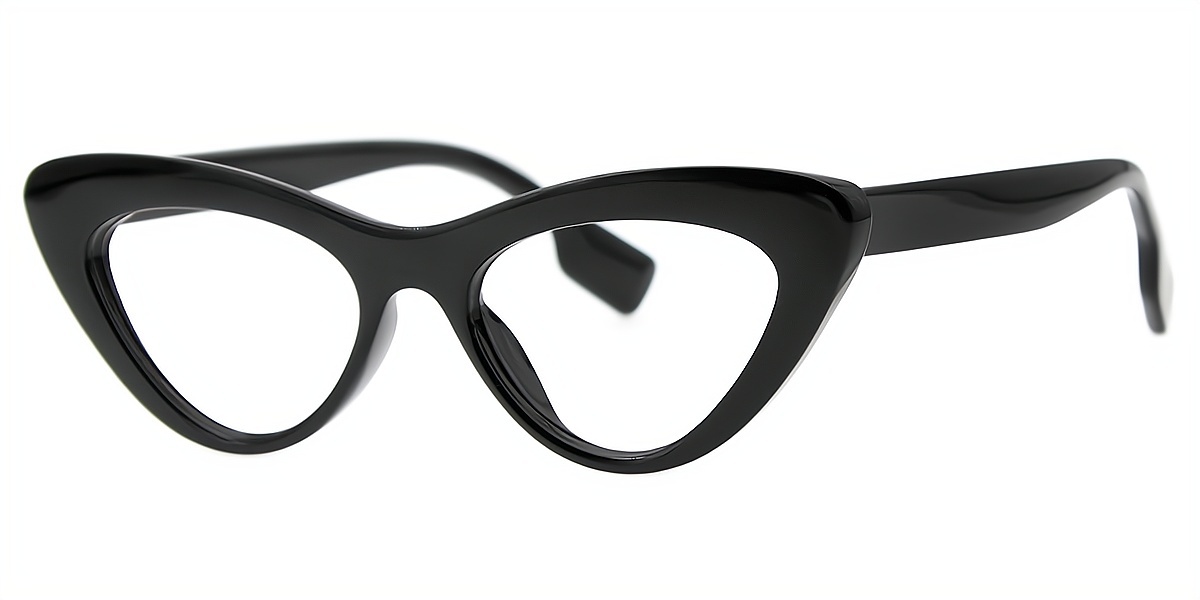 Black Cat Eye Chic Plastic Eyeglasses