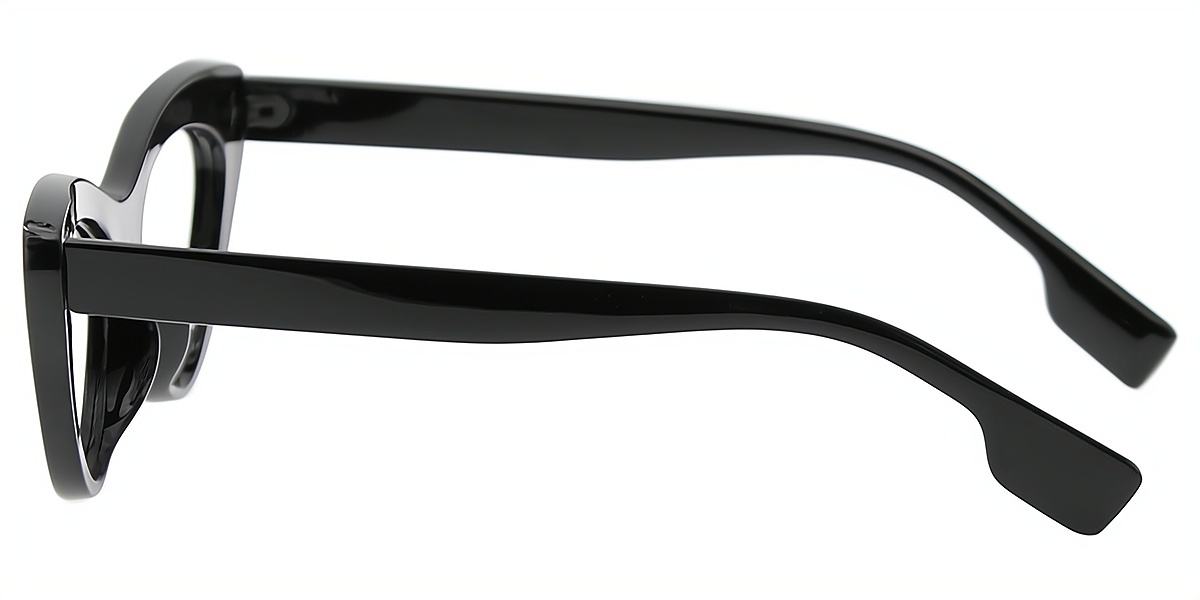 Black Cat Eye Chic Plastic Eyeglasses