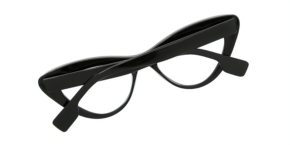 Black Cat Eye Chic Plastic Eyeglasses