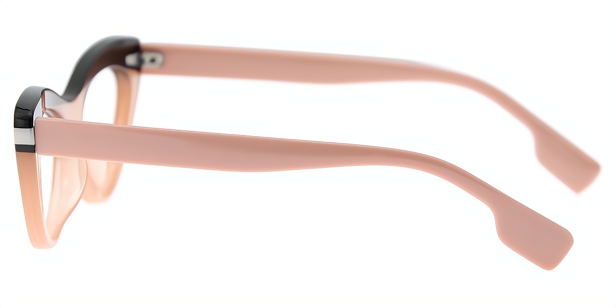 Pink Cat Eye Chic Plastic Eyeglasses