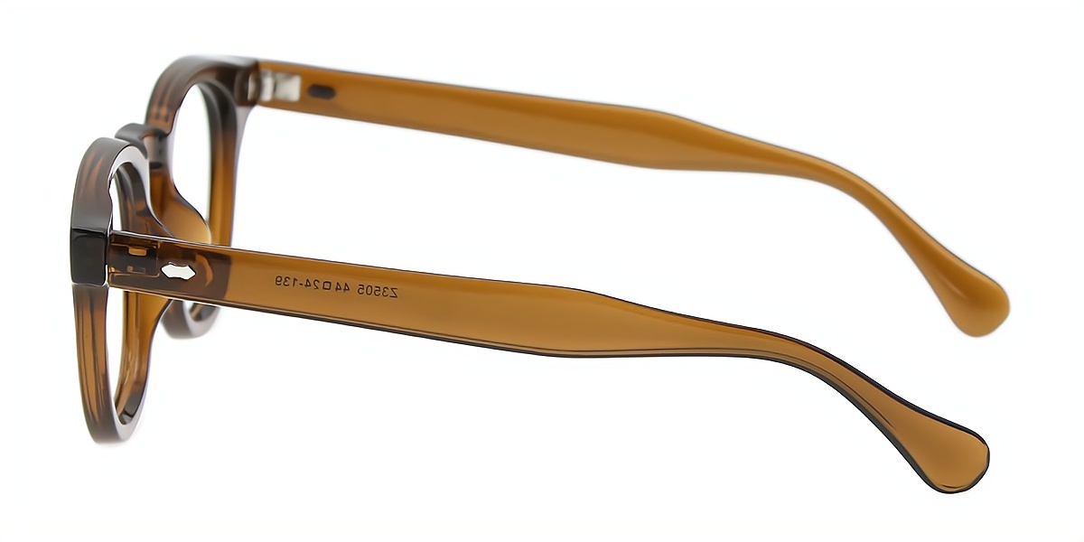 Brown Horn Chic Horn Plastic Eyeglasses
