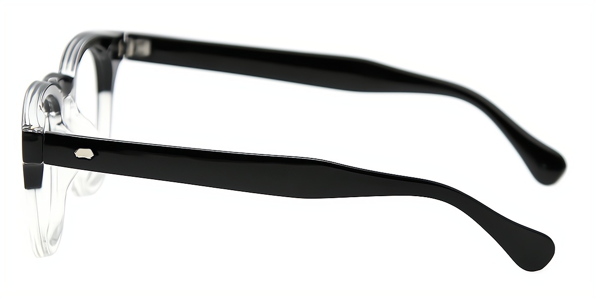 Mix Horn Chic Horn Plastic Eyeglasses