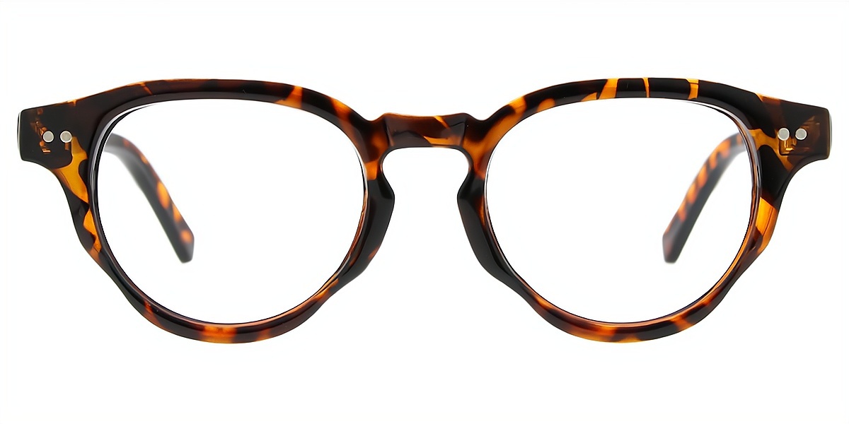 Tortoise Horn Retro TR90 Eyeglasses