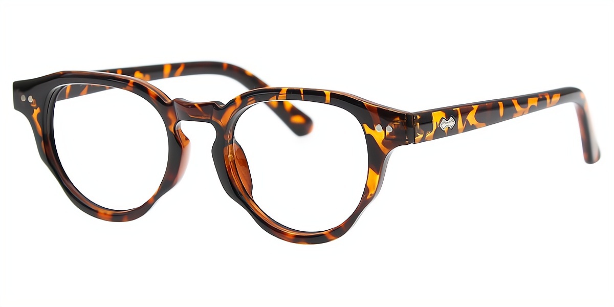 Tortoise Horn Retro TR90 Eyeglasses