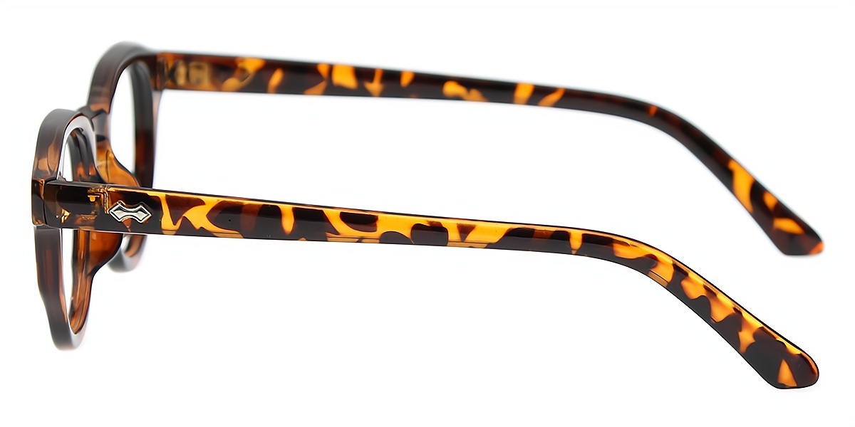 Tortoise Horn Retro TR90 Eyeglasses