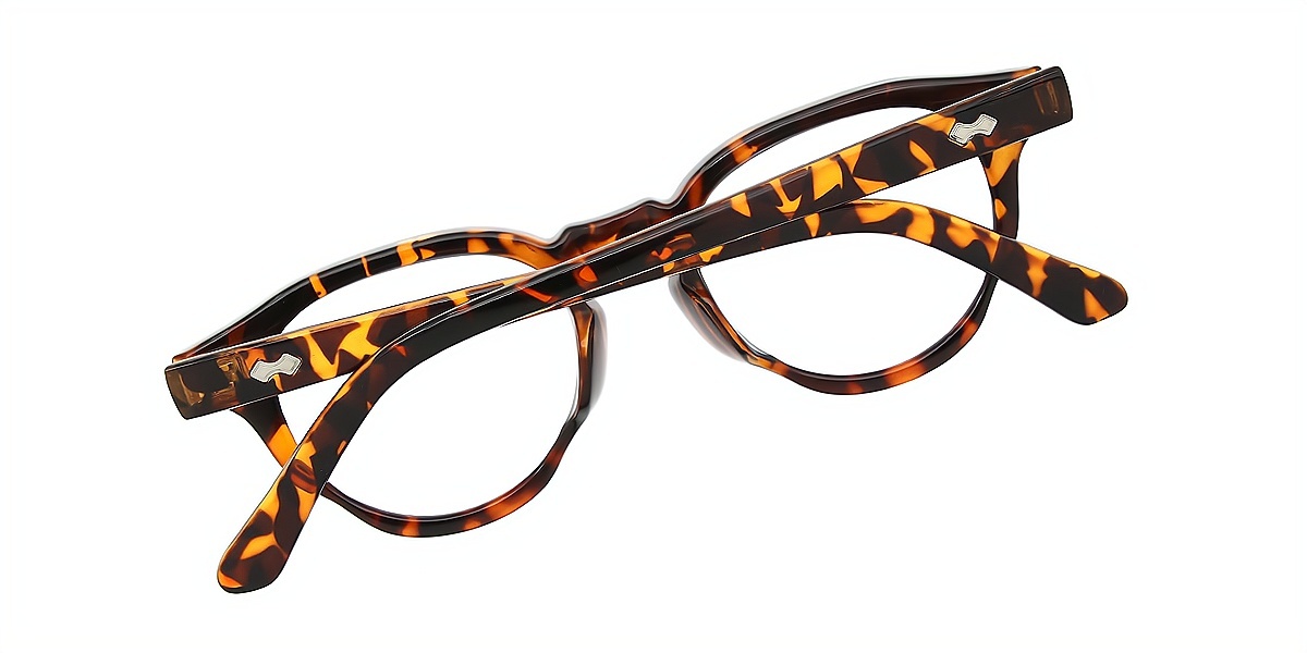 Tortoise Horn Retro TR90 Eyeglasses