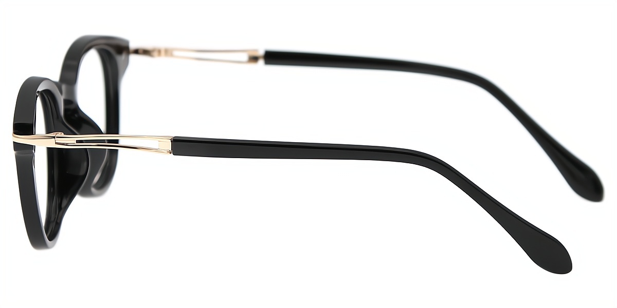 Black Horn Elegant TR90 Eyeglasses
