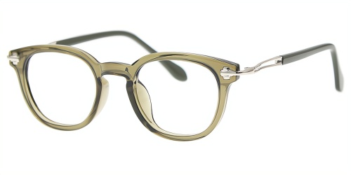 Horn Eyeglasses