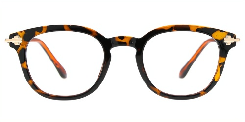 Horn Eyeglasses