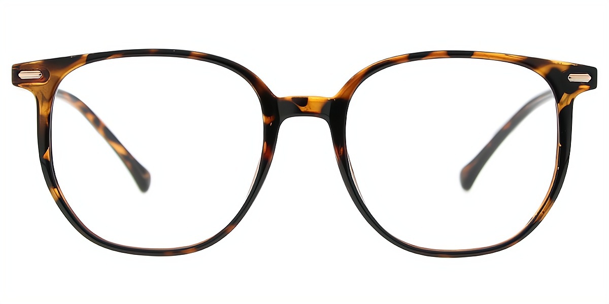 Tortoise Horn Simple Lightweight TR90 Eyeglasses
