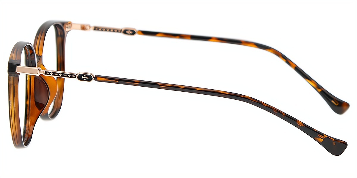 Tortoise Horn Simple Lightweight TR90 Eyeglasses