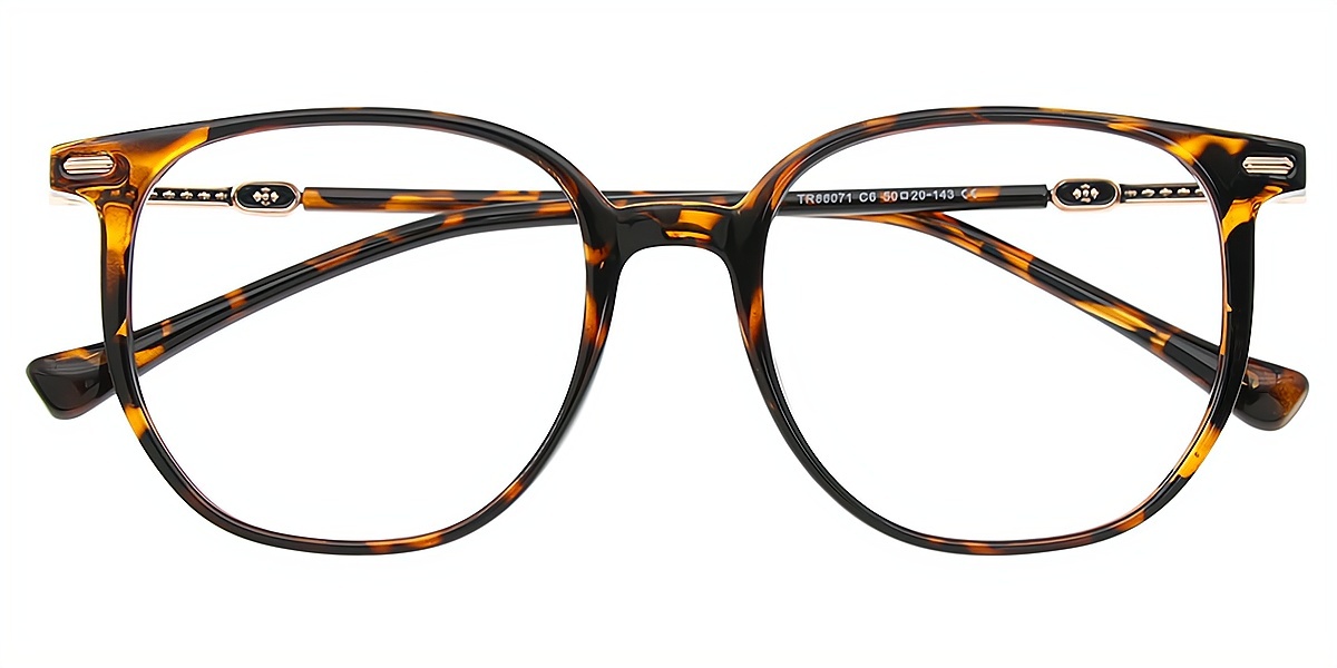 Tortoise Horn Simple Lightweight TR90 Eyeglasses