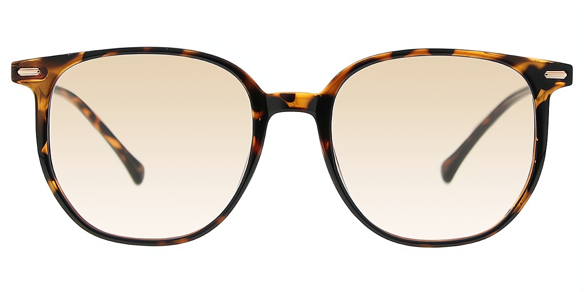 Tortoise Horn Simple Lightweight TR90 Eyeglasses