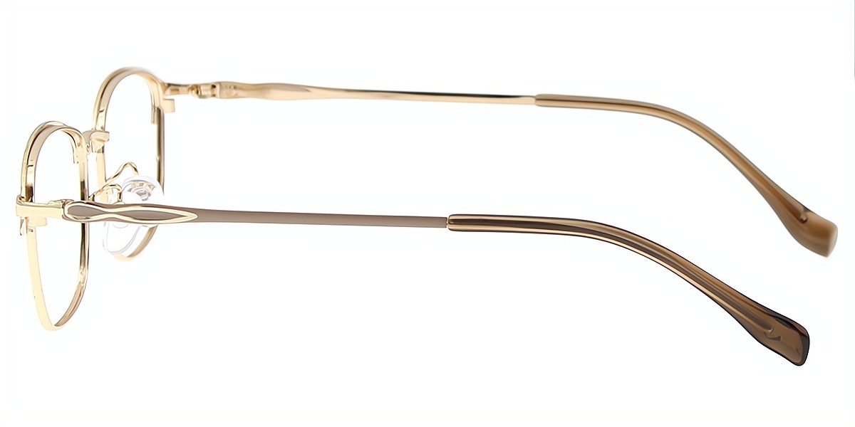 Brown Gold Browline Simple Elegant Metal Eyeglasses