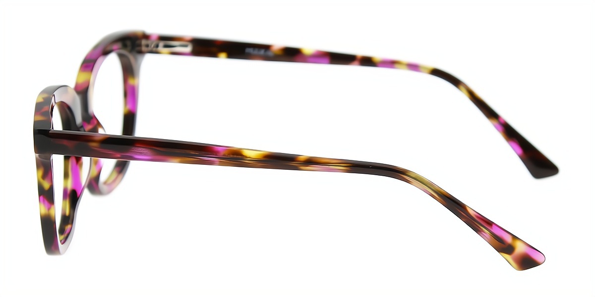 Mix Horn Ornate Acetate Eyeglasses