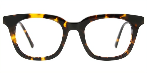 Horn Eyeglasses