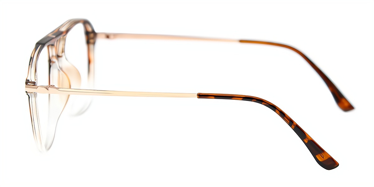 Tortoise Aviator Classic Mixed Materials Eyeglasses