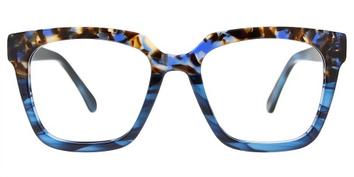 Horn Eyeglasses