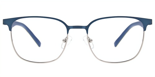 Horn Eyeglasses
