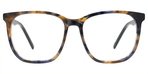 Horn Eyeglasses
