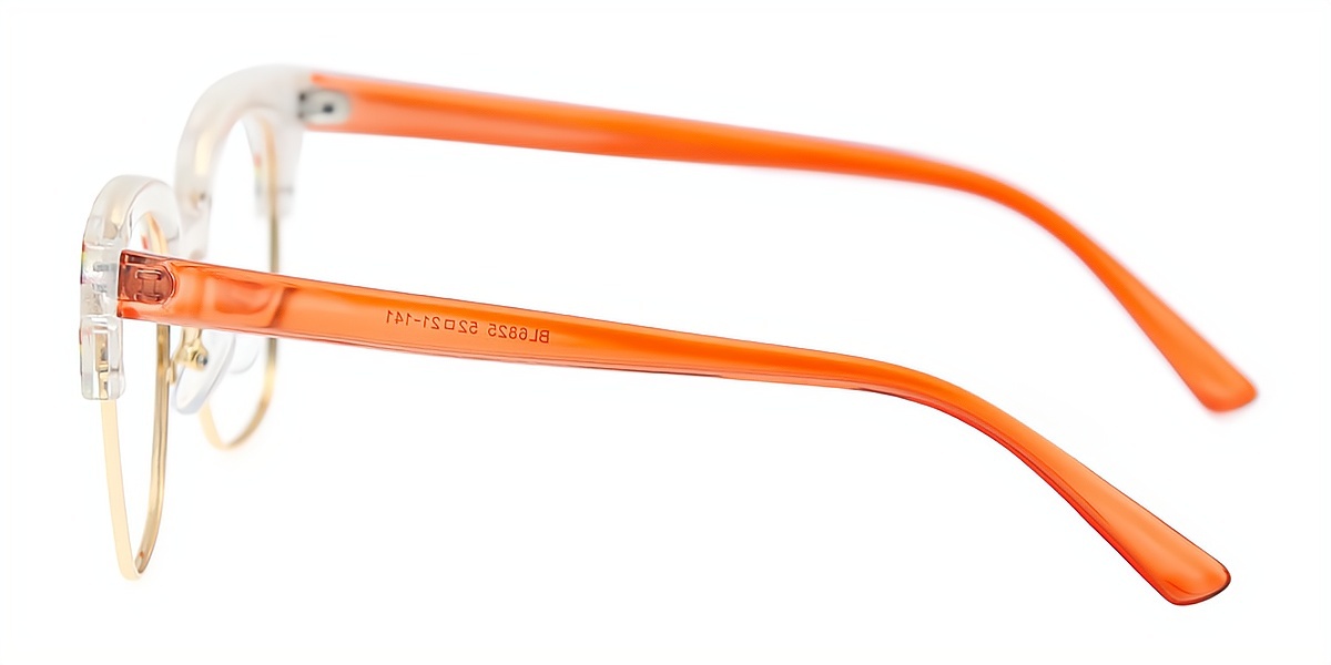 Multicolor Horn Unique Mixed Materials Eyeglasses