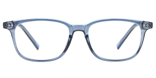 Horn Eyeglasses
