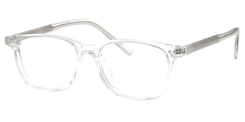Horn Eyeglasses