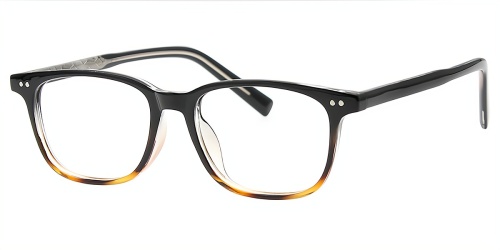 Horn Eyeglasses