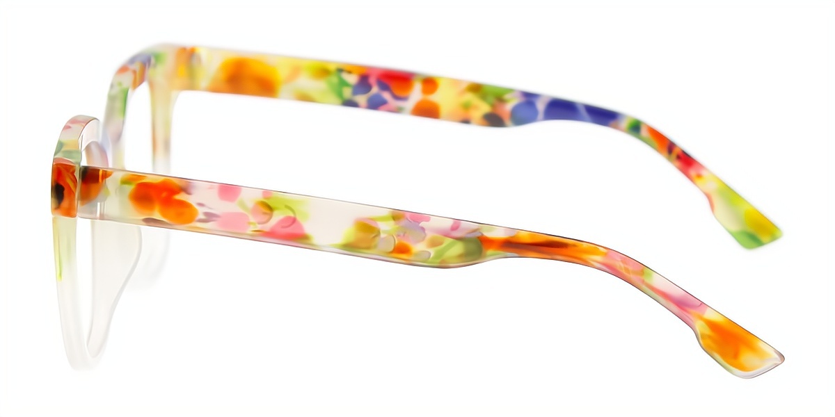 Multicolor Horn Fancy Plastic Eyeglasses