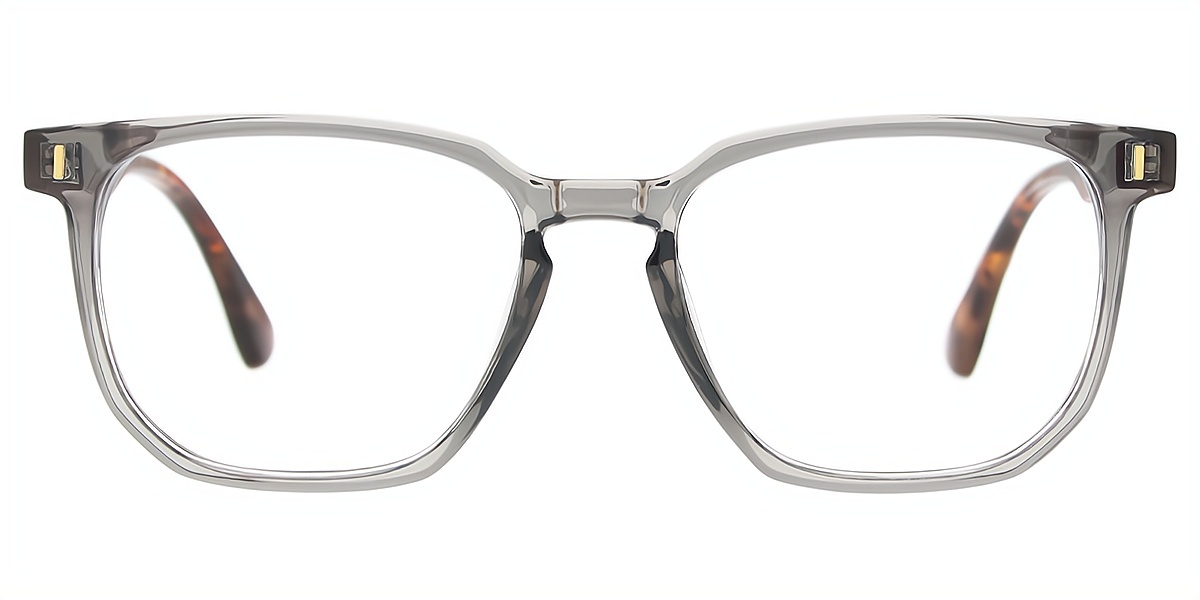 Gray Horn Retro TR90 Eyeglasses