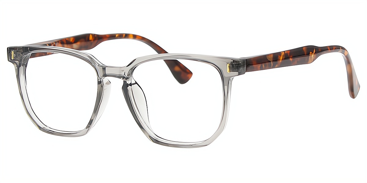 Gray Horn Retro TR90 Eyeglasses