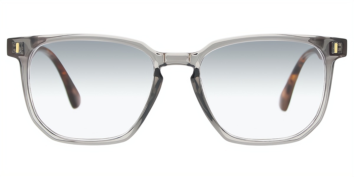 Gray Horn Retro TR90 Eyeglasses