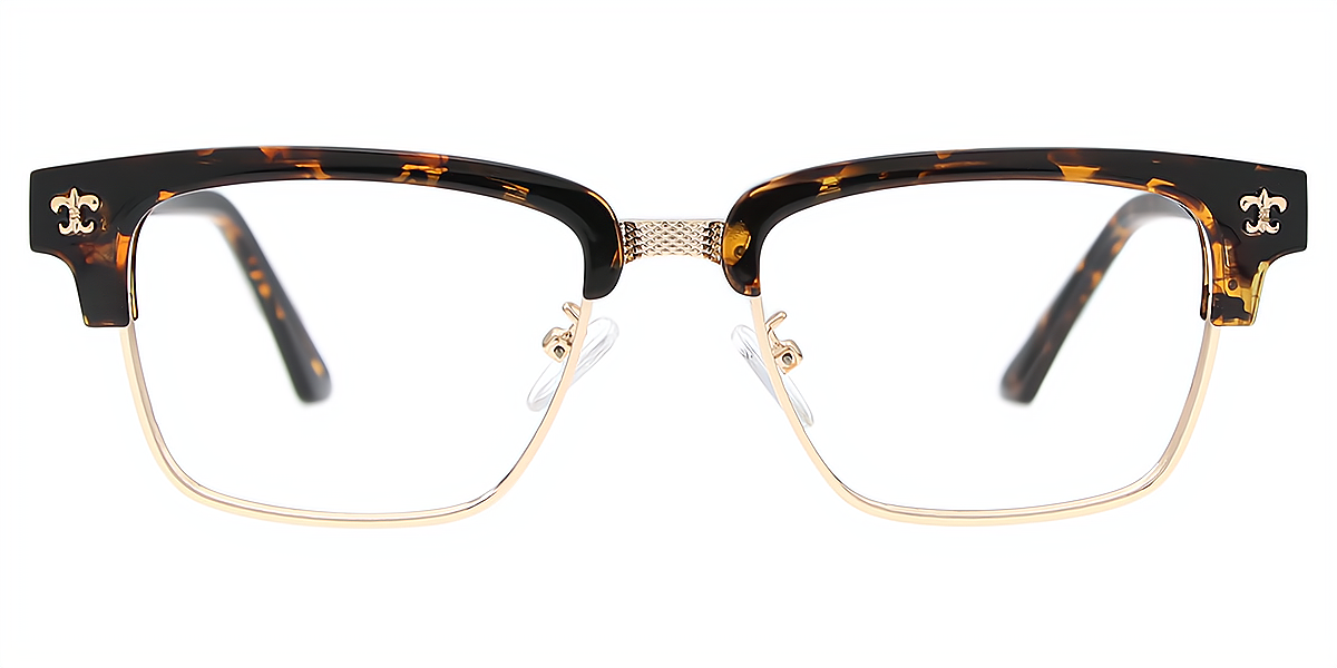 Tortoise Golden Browline Classic Mixed Materials Eyeglasses