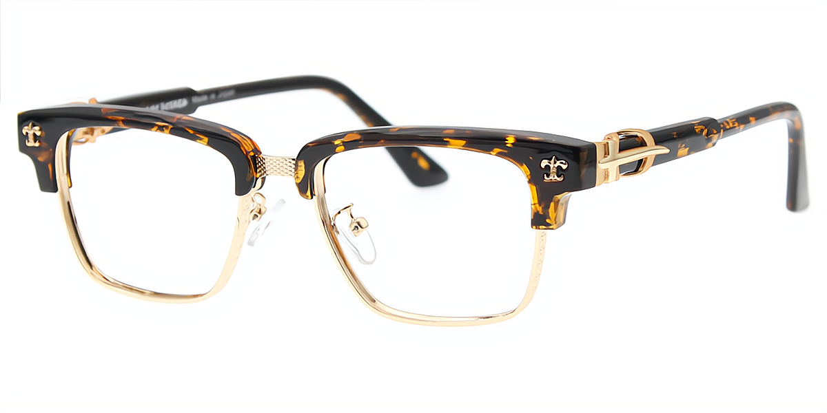 Tortoise Golden Browline Classic Mixed Materials Eyeglasses