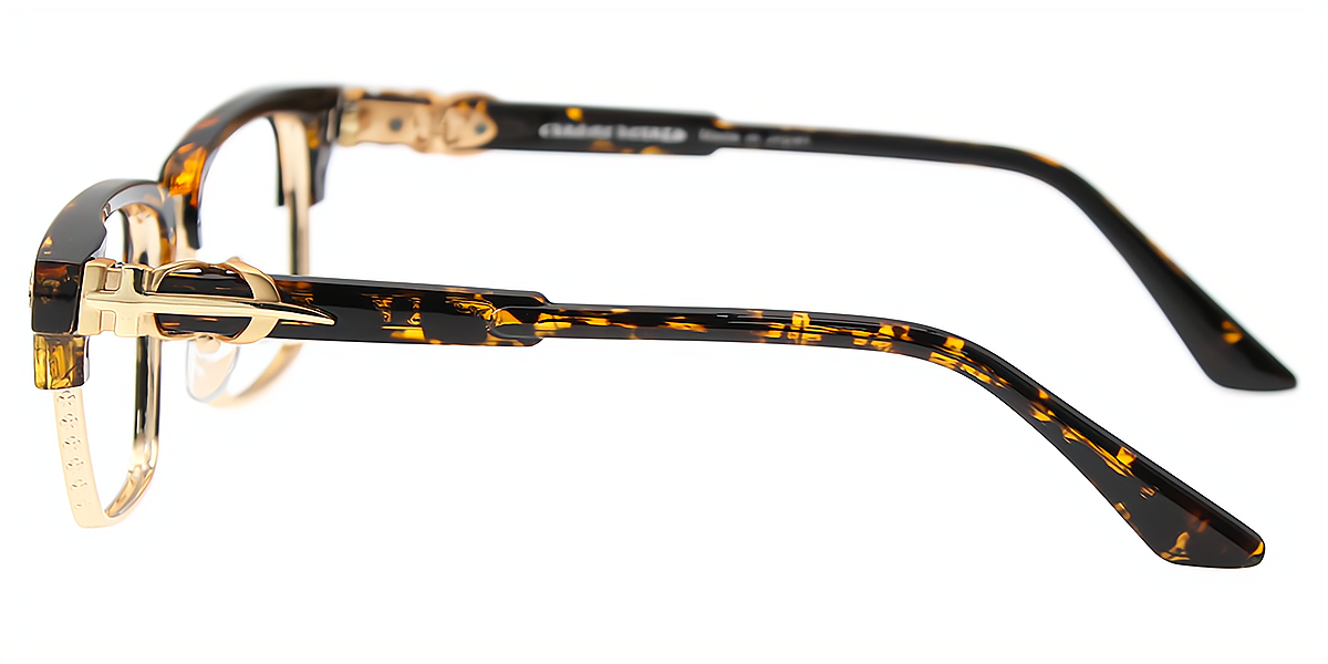 Tortoise Golden Browline Classic Mixed Materials Eyeglasses