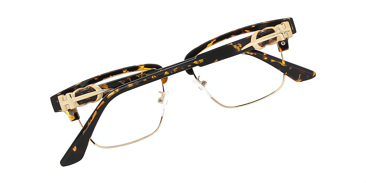 Tortoise Golden Browline Classic Mixed Materials Eyeglasses