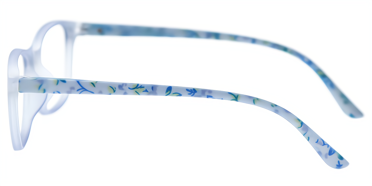 Blue Horn Simple Plastic Eyeglasses