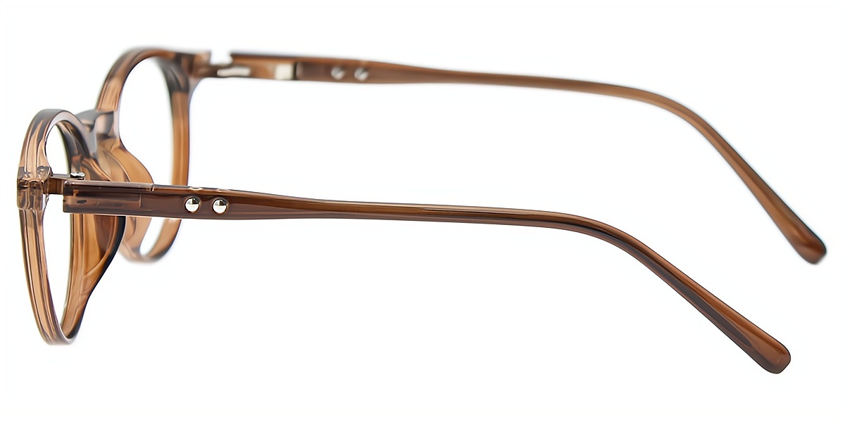 Brown Round Simple TR90 Eyeglasses