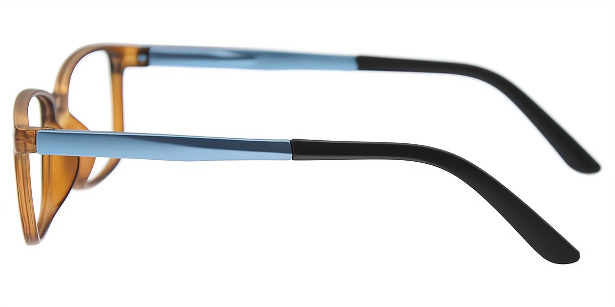 Brown Rectangle Simple Plastic Eyeglasses