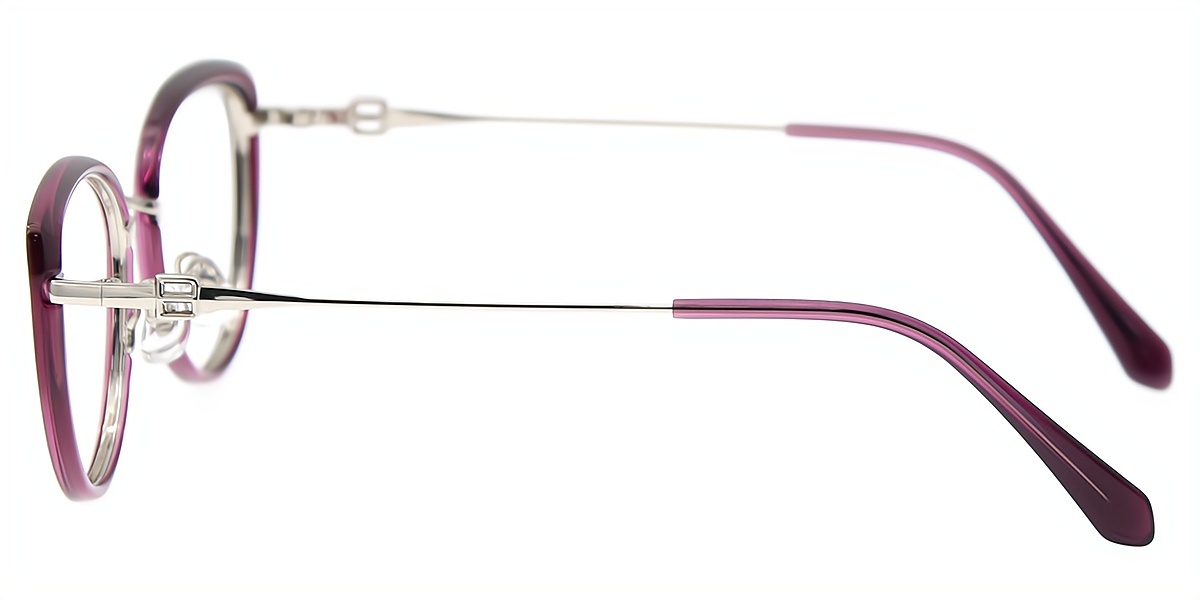 Purple Cat Eye Elaborate Mixed Materials Eyeglasses