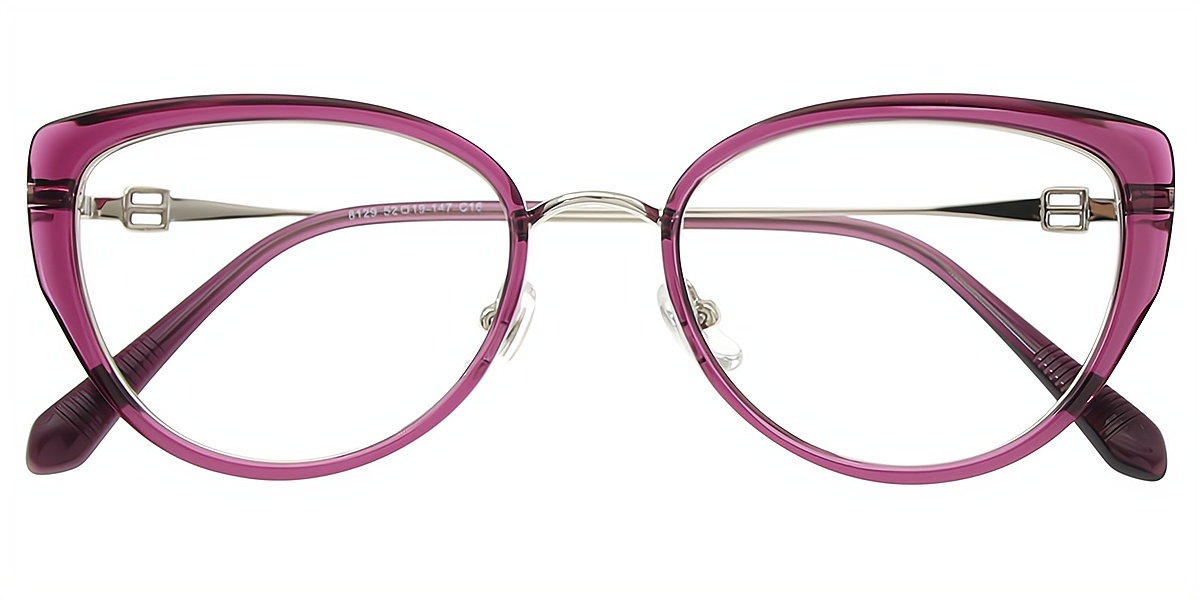 Purple Cat Eye Elaborate Mixed Materials Eyeglasses