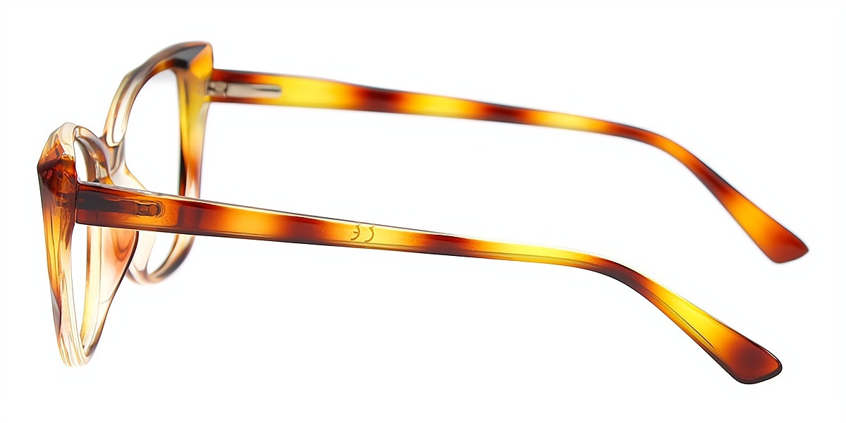 Mix Cat Eye Unique Plastic Eyeglasses