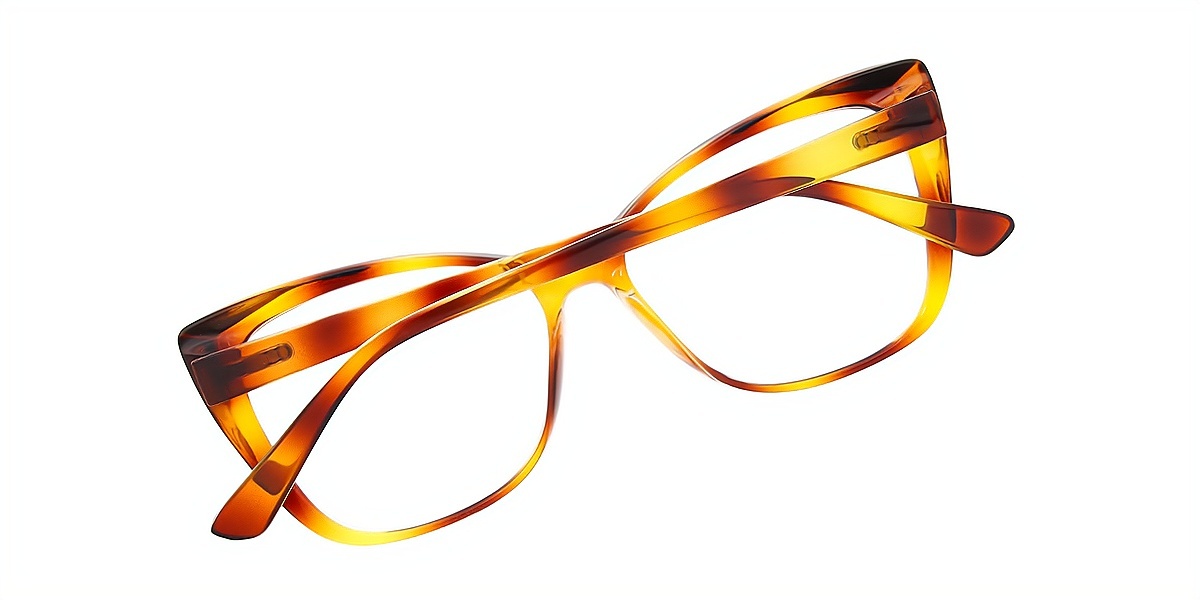 Mix Cat Eye Unique Plastic Eyeglasses