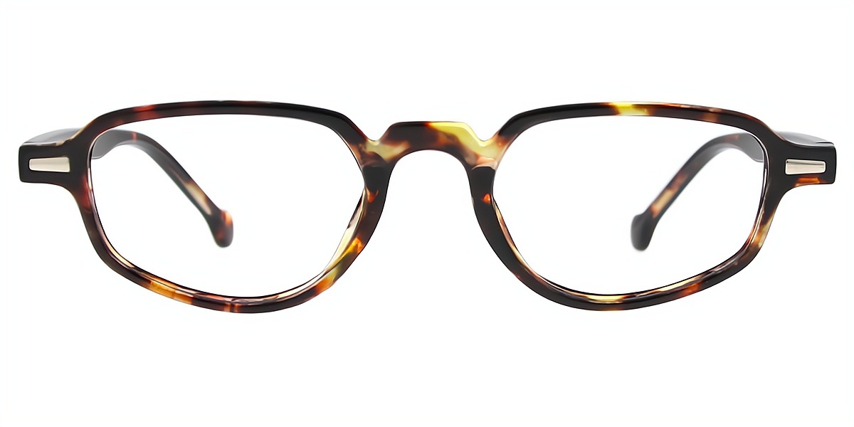 Tortoise Geometric Retro Plastic Eyeglasses