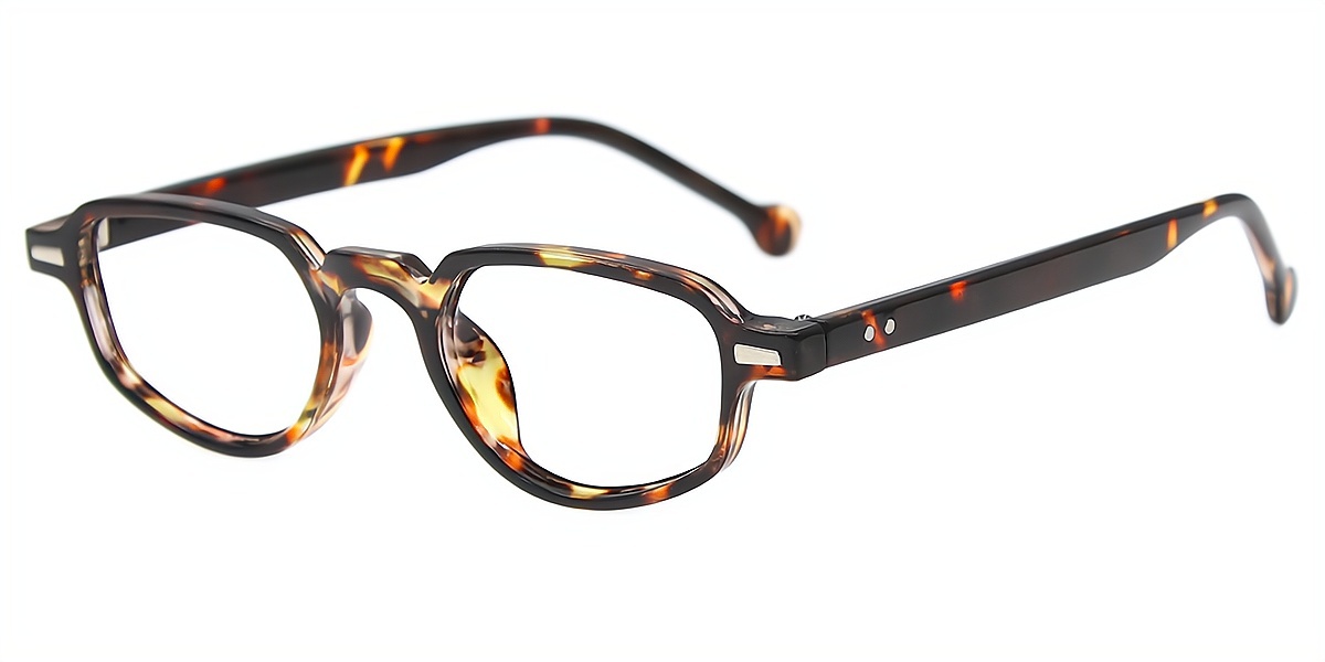 Tortoise Geometric Retro Plastic Eyeglasses